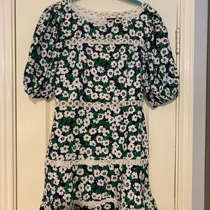 Olivaceous Fit and Flare Dress